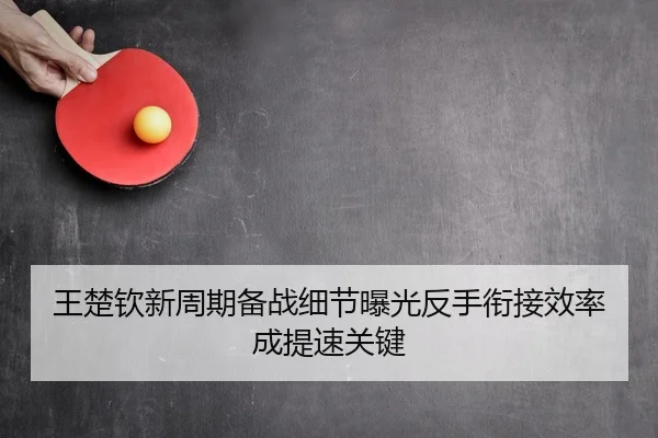 王楚钦新周期备战细节曝光反手衔接效率成提速关键