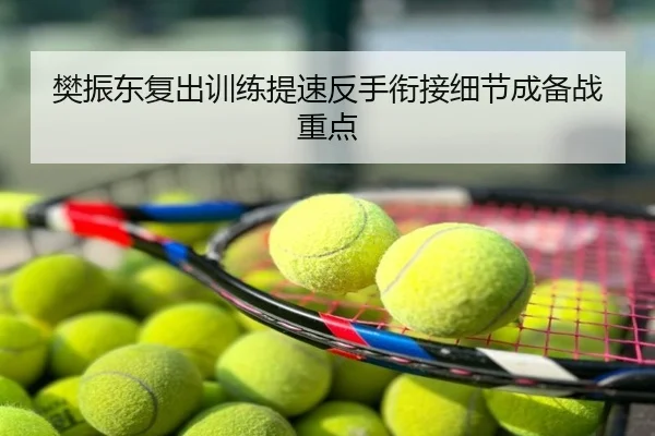 樊振东复出训练提速反手衔接细节成备战重点