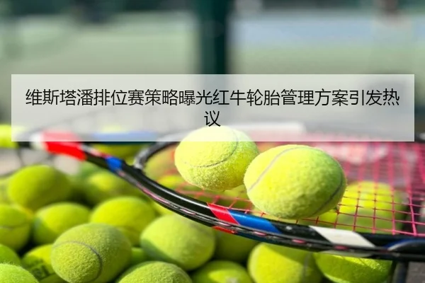 维斯塔潘排位赛策略曝光红牛轮胎管理方案引发热议