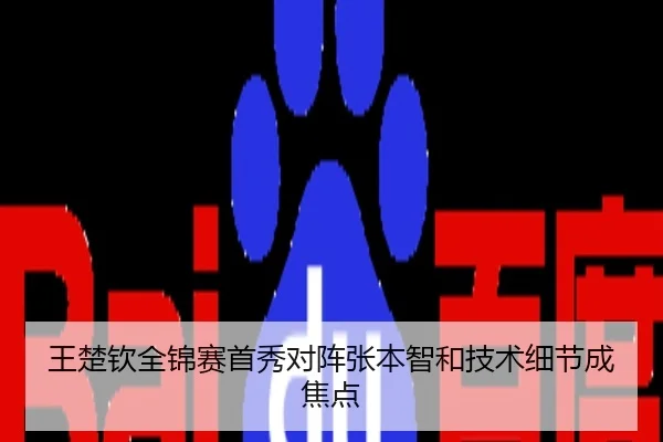 王楚钦全锦赛首秀对阵张本智和技术细节成焦点